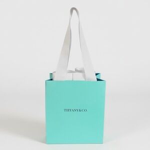 Tiffany & Co. Small Gift Bag
